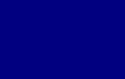 Navy blue is a very dark shade of blue. The hex code for navy blue is #000080, which hints at just how dark the color is. 

The proof is that the hex code for black is #000000. As you can see, there is very little difference between these two colors, both in the shade and in their hex codes.